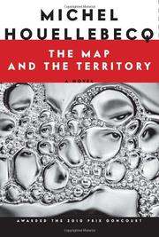 Book Cover for THE MAP AND THE TERRITORY