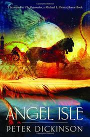 Book Cover for ANGEL ISLE