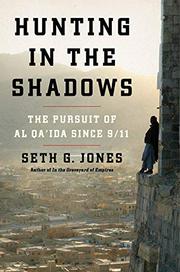 Cover art for HUNTING IN THE SHADOWS