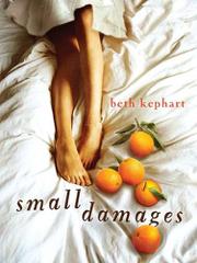 Book Cover for SMALL DAMAGES