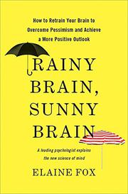 Cover art for RAINY BRAIN, SUNNY BRAIN
