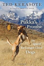 Cover art for PUKKA'S PROMISE