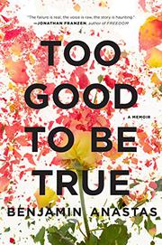 Cover art for TOO GOOD TO BE TRUE