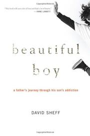 Book Cover for BEAUTIFUL BOY