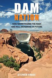 Cover art for DAM NATION