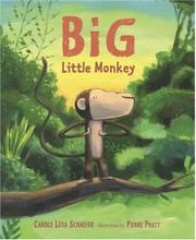 Cover art for BIG LITTLE MONKEY