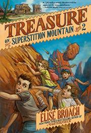 Book Cover for TREASURE ON SUPERSTITION MOUNTAIN