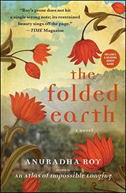 Book Cover for THE FOLDED EARTH