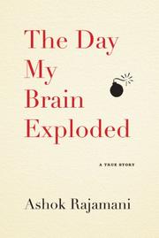 Book Cover for THE DAY MY BRAIN EXPLODED