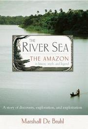 Book Cover for THE RIVER SEA