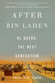 Book Cover for AFTER BIN LADEN