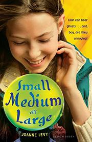 Book Cover for SMALL MEDIUM AT LARGE