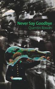 Book Cover for NEVER SAY GOODBYE