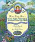 Cover art for MISS LADY BIRD’S WILDFLOWERS