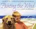 Cover art for PAINTING THE WIND