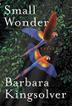 Cover art for SMALL WONDER