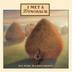 Cover art for I MET A DINOSAUR