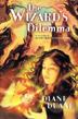 Cover art for THE WIZARD’S DILEMMA