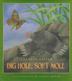 Cover art for DIG HOLE, SOFT MOLE