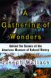 Cover art for A GATHERING OF WONDERS