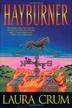 Cover art for HAYBURNER