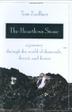 Cover art for THE HEARTLESS STONE