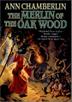 Cover art for THE MERLIN OF THE OAK WOOD
