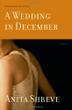 Cover art for A WEDDING IN DECEMBER