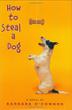 Cover art for HOW TO STEAL A DOG