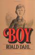 Cover art for BOY