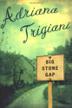 Cover art for BIG STONE GAP