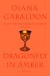 Cover art for DRAGONFLY IN AMBER