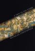 Cover art for A TRIP TO THE STARS