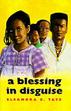 Cover art for A BLESSING IN DISGUISE