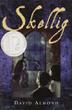 Cover art for SKELLIG