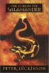 Cover art for THE TEARS OF THE SALAMANDER