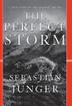 Cover art for THE PERFECT STORM