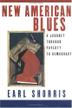 Cover art for NEW AMERICAN BLUES