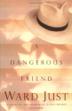Cover art for A DANGEROUS FRIEND
