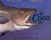 Cover art for THE COD’S TALE