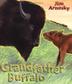 Cover art for GRANDFATHER BUFFALO