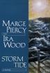 Cover art for STORM TIDE