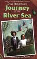 Cover art for JOURNEY TO THE RIVER SEA