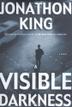 Cover art for A VISIBLE DARKNESS