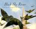 Cover art for BLACK SKY RIVER