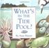 Cover art for WHAT’S IN A TIDE POOL?