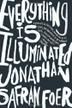 Cover art for EVERYTHING IS ILLUMINATED