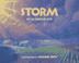 Cover art for STORM