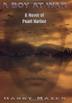 Cover art for A BOY AT WAR