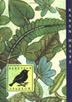 Cover art for ALEUTIAN SPARROW
